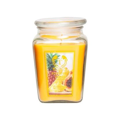 18oz Aroma Scented Candles, 8 Individual Scented Candles