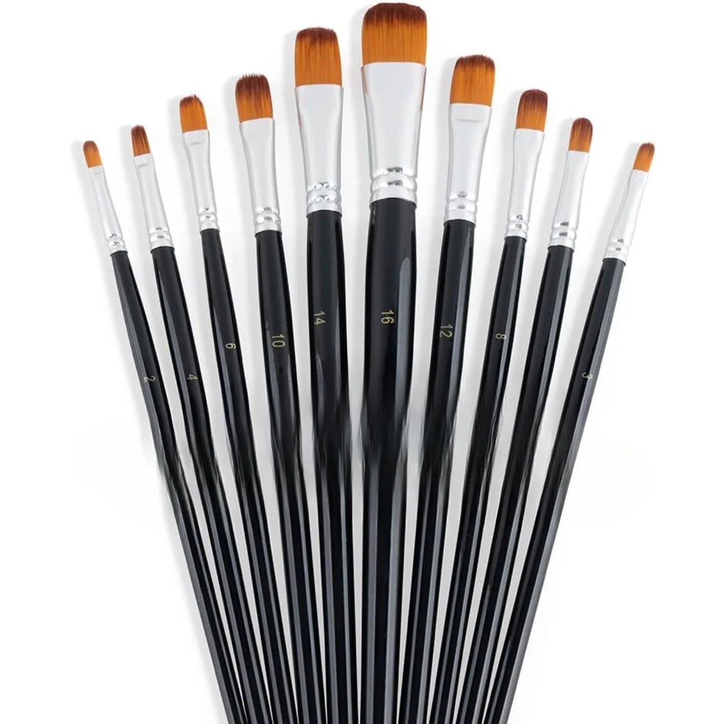 Round Paint Brushes, Basic Set